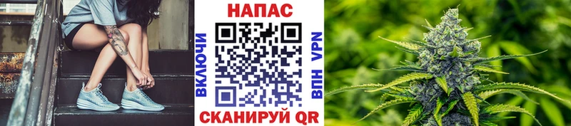закладка  Истра  Бошки Шишки гибрид 
